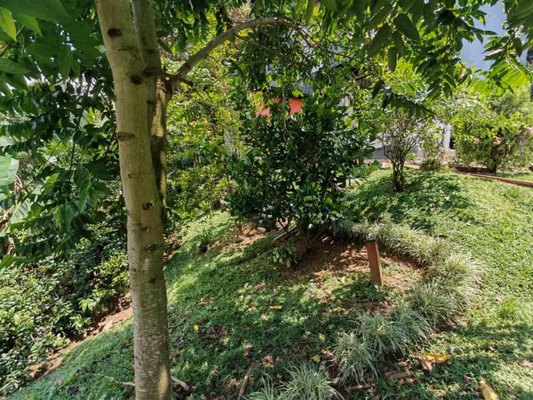 Venta de casa moderna con gran terreno. Puriscal