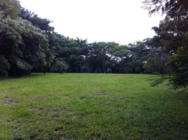Venta de Lote en Piedades Santa Ana