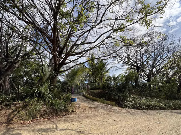 San Juanillo | Jardín Espectacular con Vista al Mar