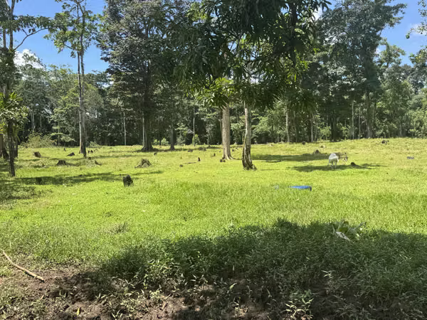 Oportunidad en Upala: finca con pozos, corrales y tilapiera