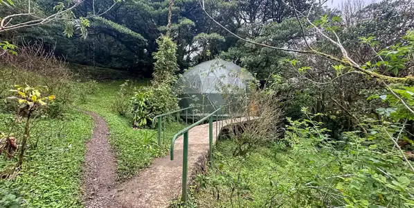 Glamping en Bosque Nuboso La Paz, San Ramón de Alajuela