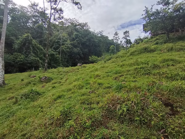 Terreno de ensueño