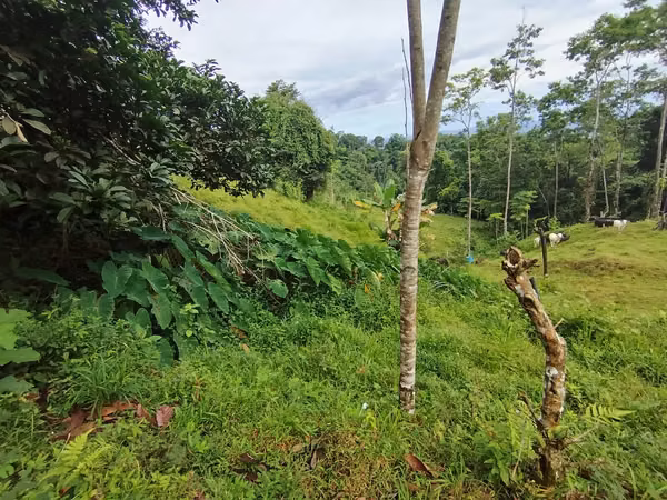 Terreno de ensueño
