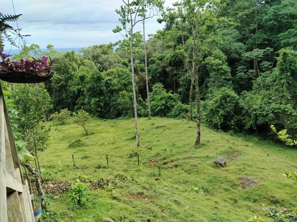 Terreno de ensueño