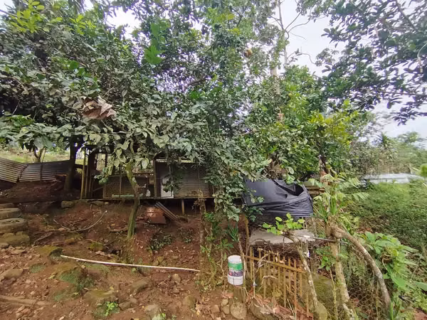 Terreno de ensueño