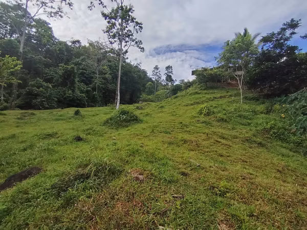 Terreno de ensueño