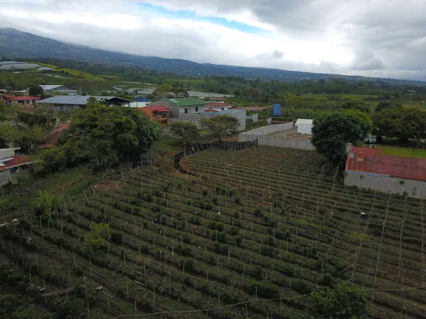 Amplio Terreno en Venta en Alajuela Carrizal — Ideal para Proyecto