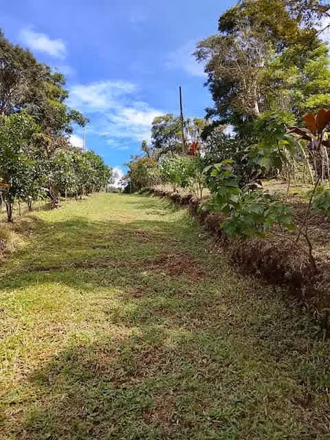 For sale farm San Ramón Central Valley 60 thousand dollars