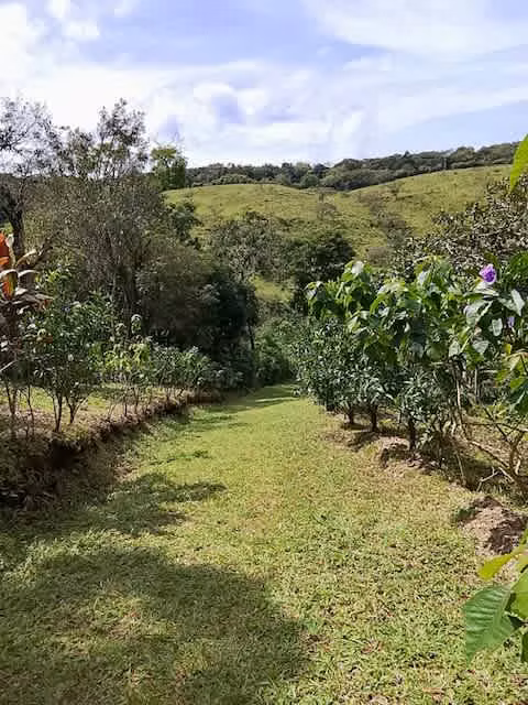 Venta finca San Ramon GANGA 30 millones colones