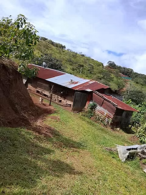 Venta finca San Ramon GANGA 30 millones colones