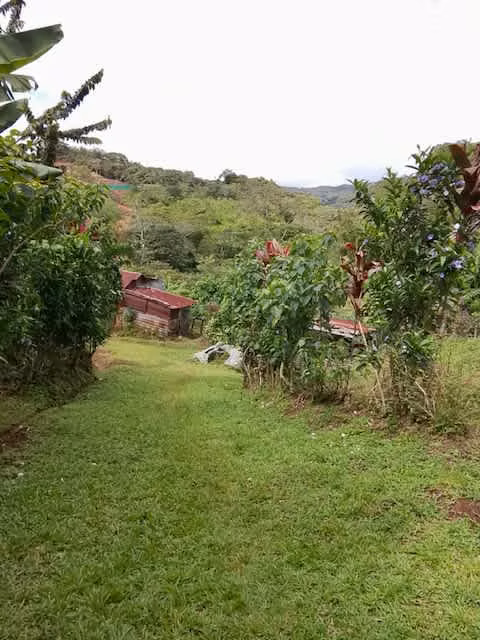 Venta finca San Ramon GANGA 30 millones colones