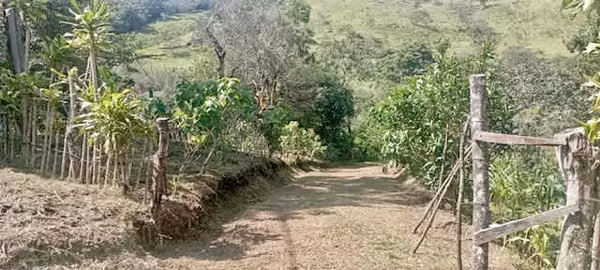 Venta finca San Ramon GANGA 30 millones colones