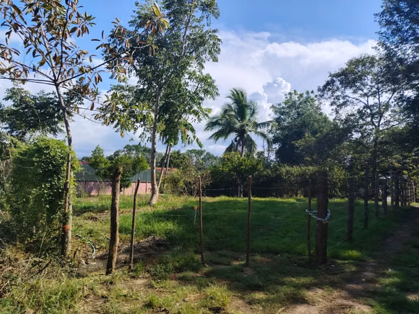 ¡Ganga! Lote plano de 632 m² para construcción - Concepción, Atenas