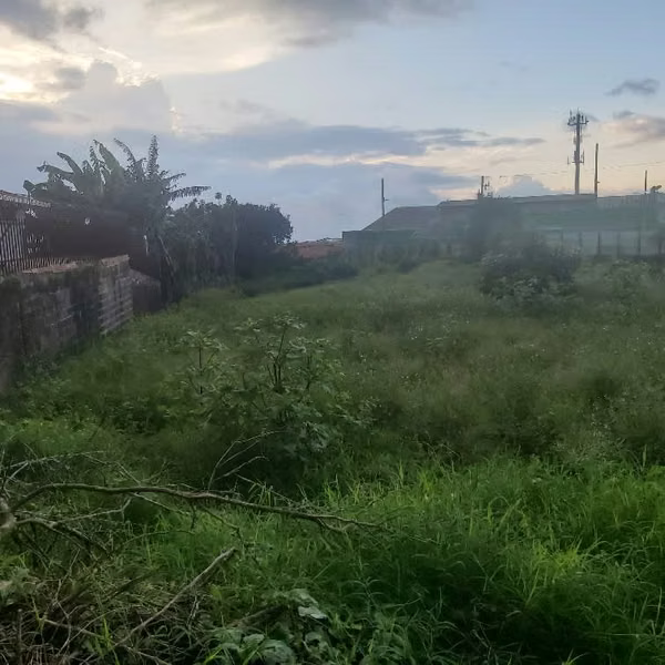 Lote en Esquina con Potencial para Desarrollo Residencial – Montes de Oca (2.959 m²)