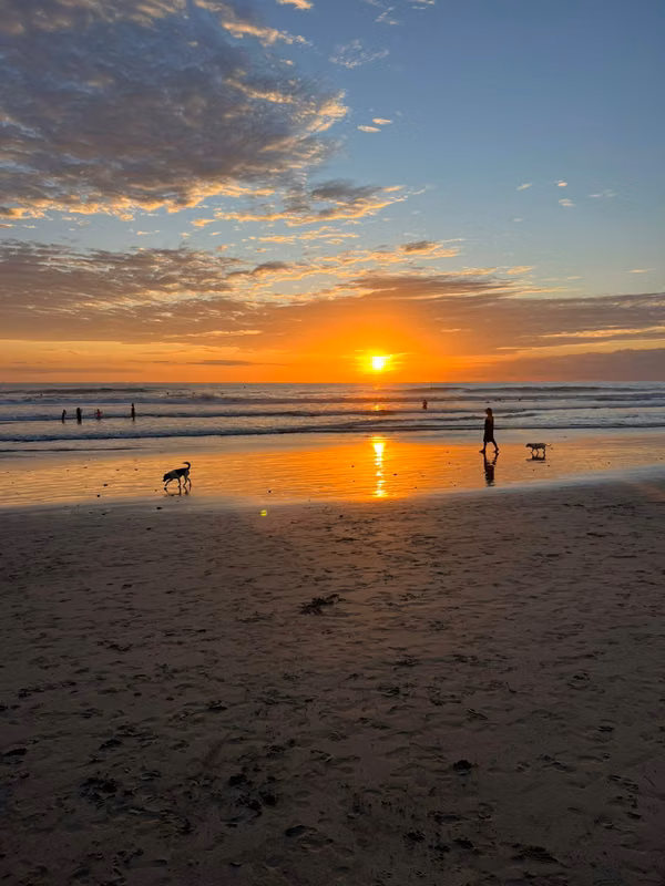 Cerca de Playa Montezuma – 4,000 m² + Casa – $210,000