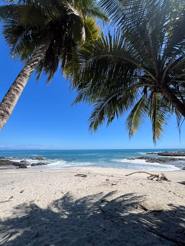 Cerca de Playa Montezuma – 4,000 m² + Casa – $210,000