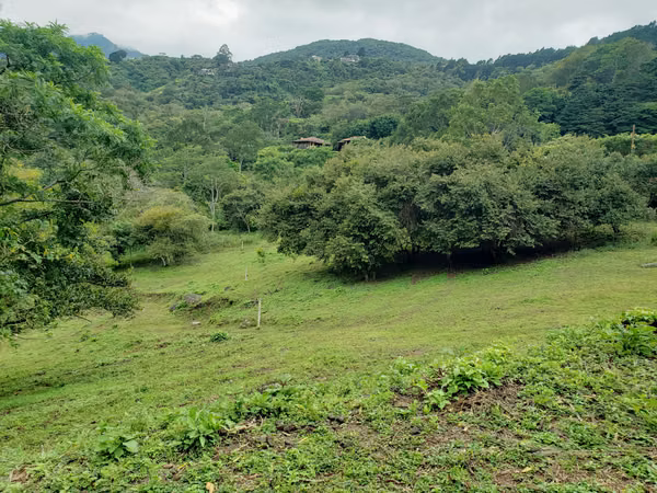 LOTE, ESCAZU-CARRIZAL OPPORTUNITY. MP-26-797
