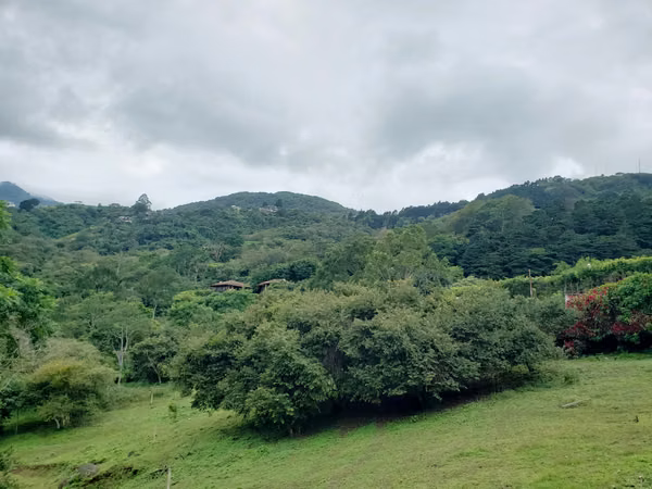 LOTE, ESCAZU-CARRIZAL OPPORTUNITY. MP-26-797