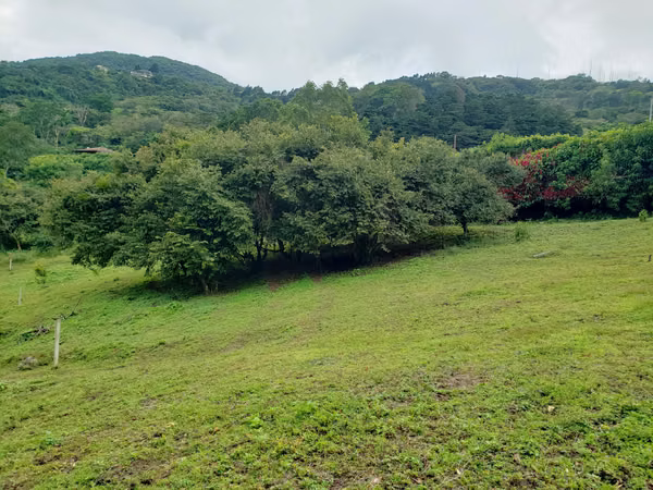 LOTE, ESCAZU-CARRIZAL OPPORTUNITY. MP-26-797