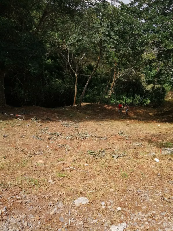 Venta de Lote 1,069 m² en Condominio - Naranjo, Alajuela
