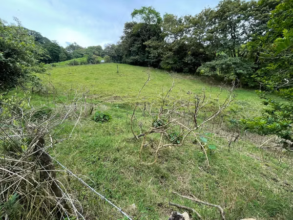Venta Lote Monteverde