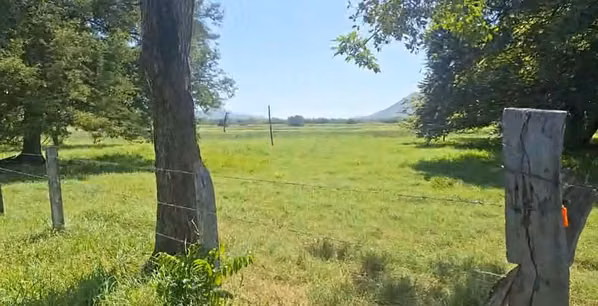 Finca Plana de 60 Hectáreas con Pastos – Caballito de Nicoya