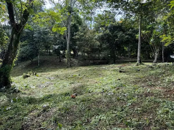 Venta lote para desarrollo Habitacional