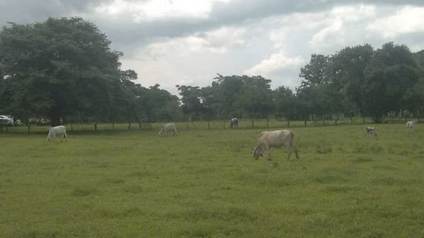 Se vende Finca en Santa Cruz Guanacaste