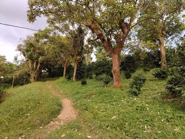 TERRENO EN VENTA CON VISTA A LA MONTAÑA,  SARCHI