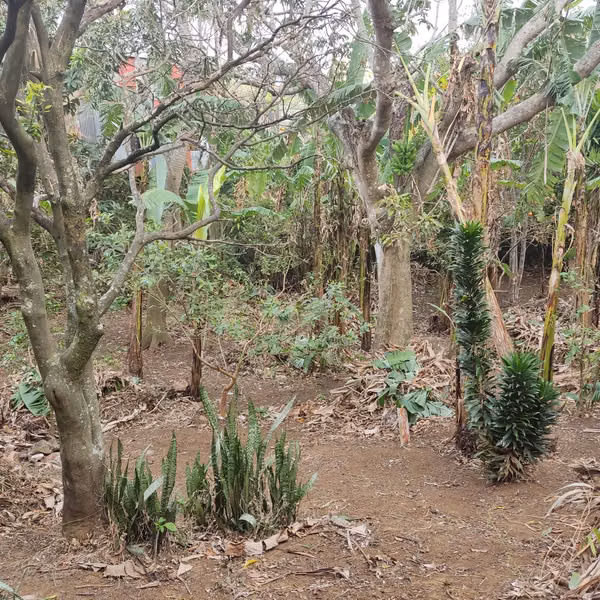 Lote en venta en San Pablo de Heredia