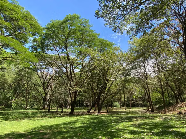 Se vende propiedad de lujo con río y naturaleza exuberante — 44.594 m²