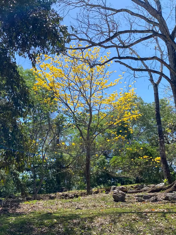 Se vende propiedad de lujo con río y naturaleza exuberante — 44.594 m²