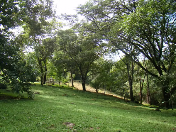 Se vende propiedad de lujo con río y naturaleza exuberante — 44.594 m²