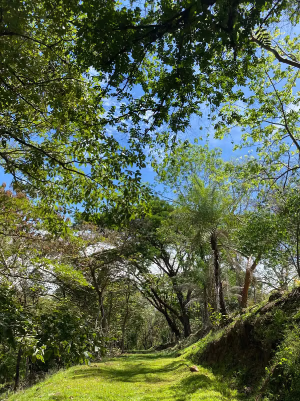 Se vende propiedad de lujo con río y naturaleza exuberante — 44.594 m²