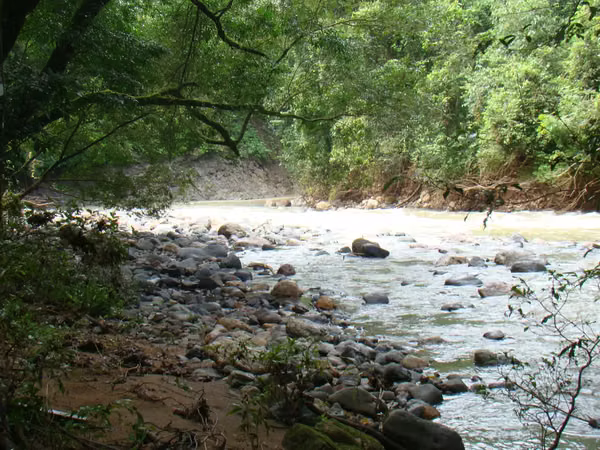 Se vende propiedad de lujo con río y naturaleza exuberante — 44.594 m²