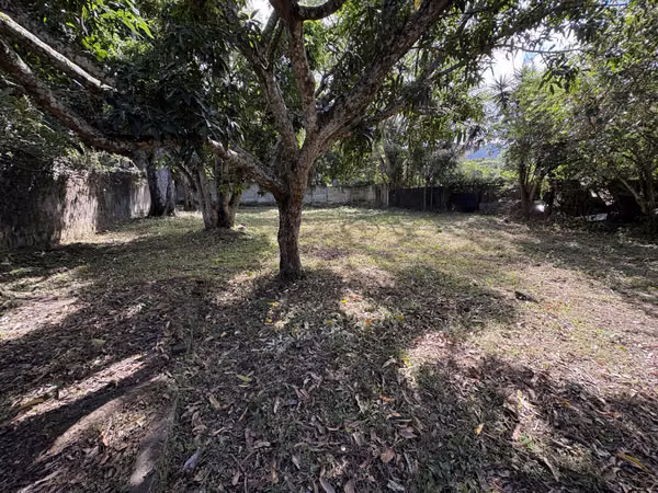 Escazú Diagonal al Novillo Alegre, Precioso Lote #460