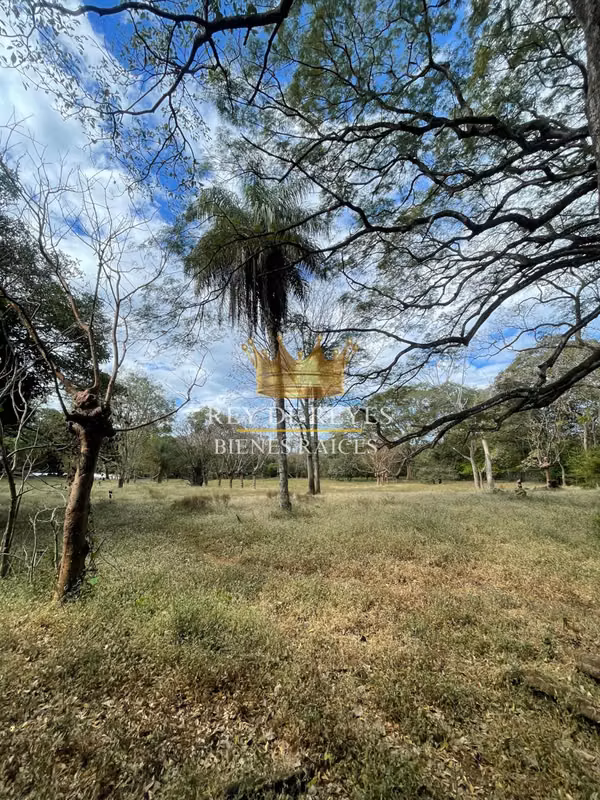 INVERSION! PROPIEDAD TURRÚCARES DE ALAJUELA. 3,5 HECTÁREAS