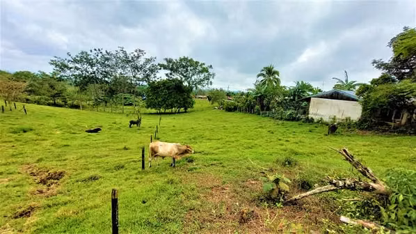 REMATAMOS: LINDO LOTE CAMPESTRE, 1500m² EN BAJO RODRIGUEZ, SAN RAMÓN