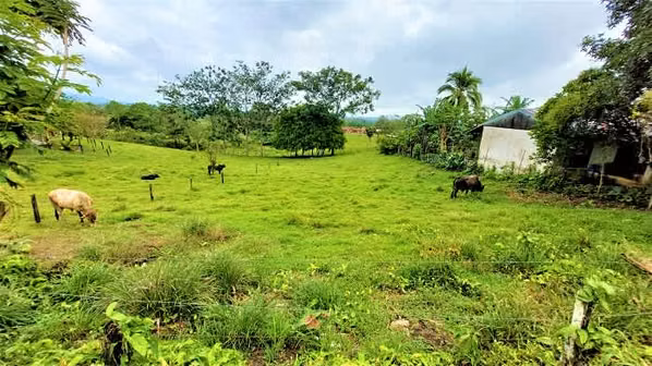REMATAMOS: LINDO LOTE CAMPESTRE, 1500m² EN BAJO RODRIGUEZ, SAN RAMÓN