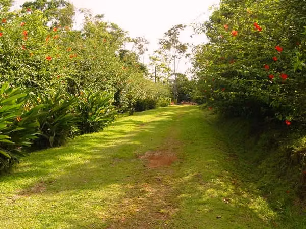 SU PARAÍSO TROPICAL: PRECIOSAS QUINTAS FRENTE AL LAGO CUTRIS