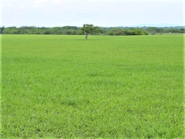 FABULOSA HACIENDA 100 Ha por LIBERIA Sobre CARR. INTERAMERICANA