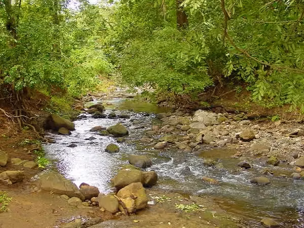 FABULOSA HACIENDA 100 Ha por LIBERIA Sobre CARR. INTERAMERICANA