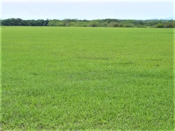 FABULOSA HACIENDA 100 Ha por LIBERIA Sobre CARR. INTERAMERICANA