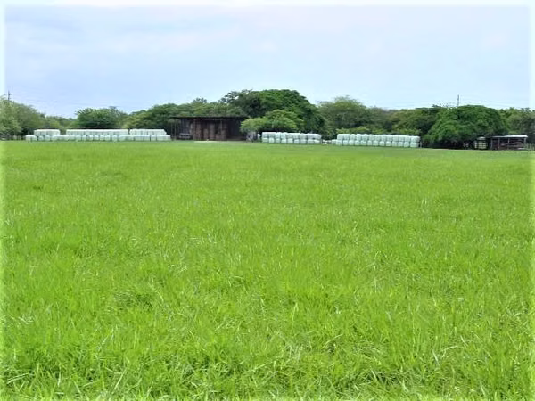 FABULOSA HACIENDA 100 Ha por LIBERIA Sobre CARR. INTERAMERICANA
