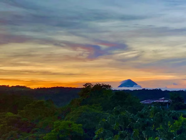 House-Estate with Lake & Volcano View in Nuevo Arenal:Gardens with Private Trails, Sauna & Gym