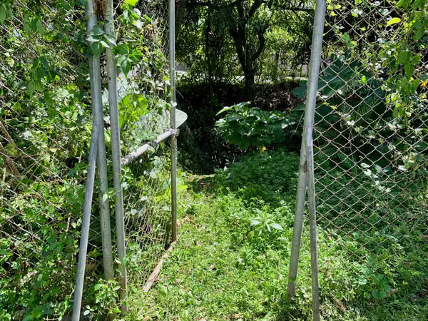 Venta Terreno en Santa Ana Centro  – $225,000