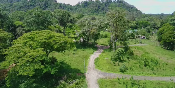 Lotes Carbone One al lado del Río en Hone Creek