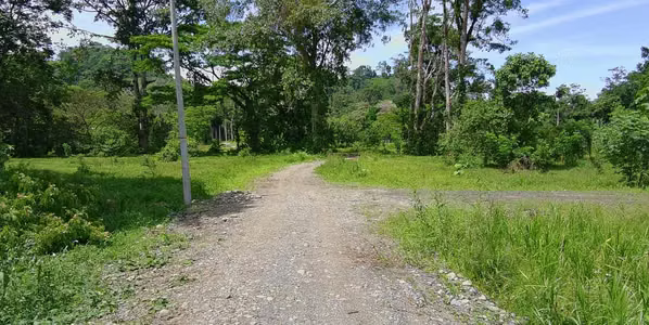 Lotes Carbone One al lado del Río en Hone Creek