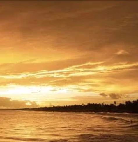 Puntarenas, El Roble, cerca Hotel Fiesta : 4 lindos lotes de menos de 300m2 c/u