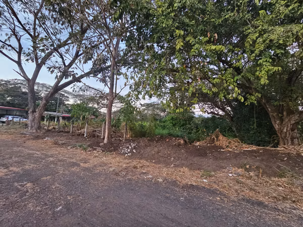 Puntarenas, El Roble, cerca Hotel Fiesta : 4 lindos lotes de menos de 300m2 c/u